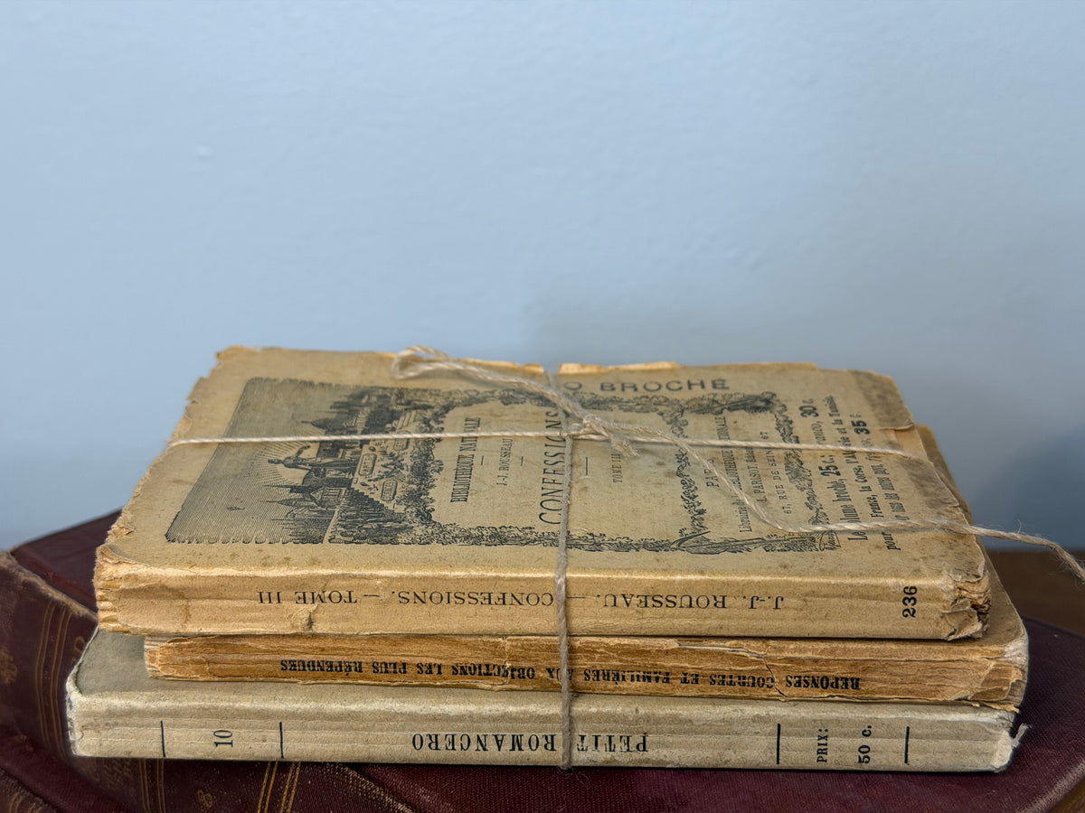 Antique French Book Bundle – 19th-Century French Literature, Religion & Philosophy